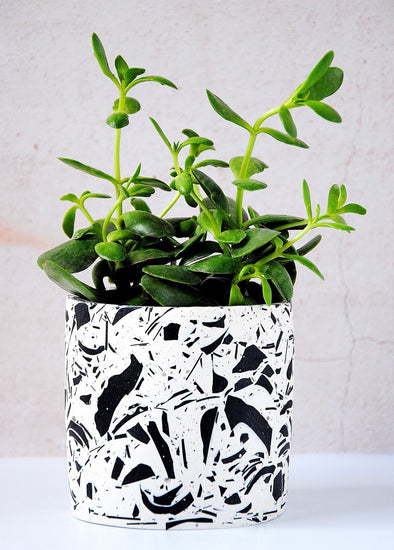 Terrazzo planter handmade by Salt Studios. Featuring a white base with black terrazzo detail. Twelve centimetres tall and twelve centimetres wide.