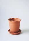 Terracotta planter and saucer. Both planter and saucer have a frilly edge.