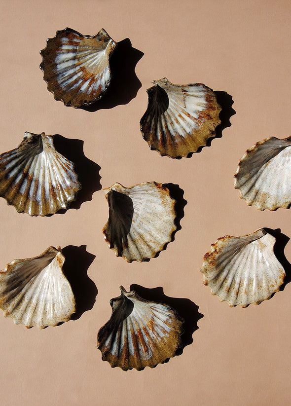 A group of ceramic scallop shells glazed in cream and brown. 