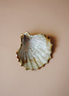 Ceramic scallop shell glazed in cream and light brown. 
