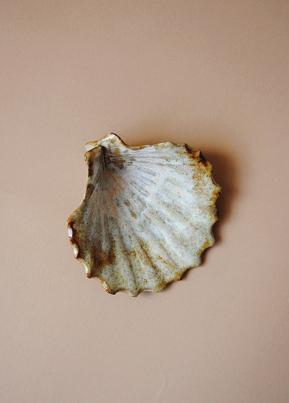 Ceramic scallop shell glazed in cream and light brown. 