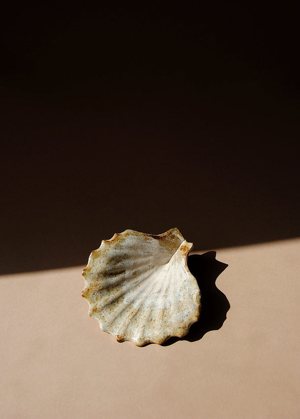 Ceramic scallop shell glazed in cream and light brown. 