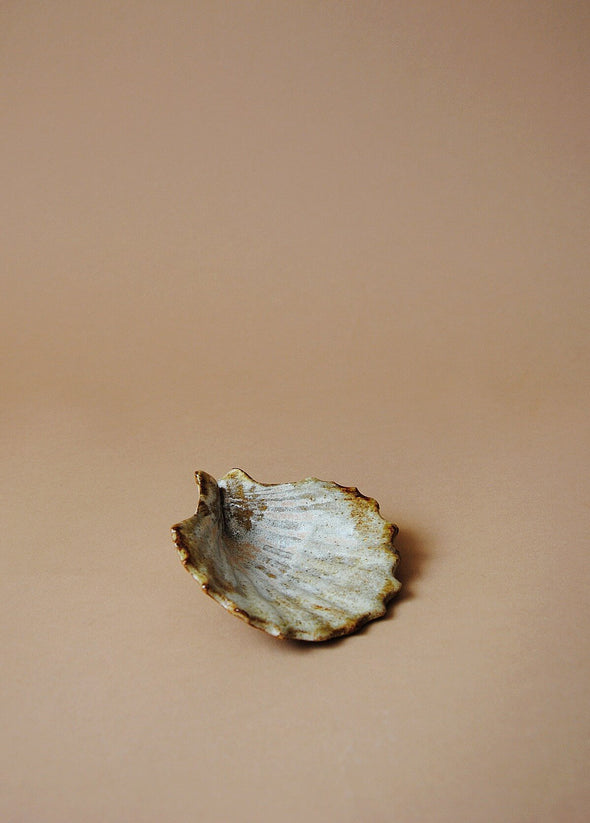 Ceramic scallop shell glazed in cream and light brown. 
