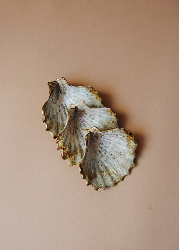 Three ceramic scallop shells glazed in cream and light brown. 