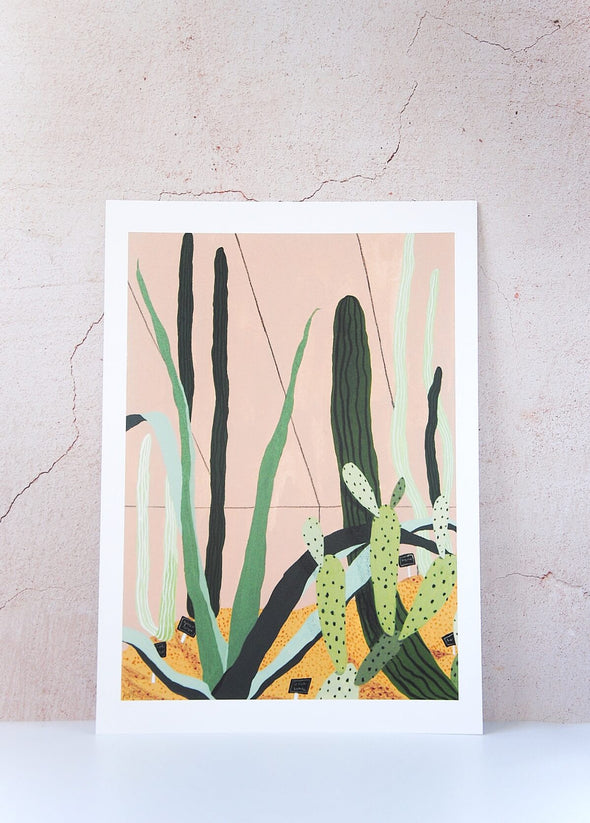 Art print by Rachel Victoria Hillis. Depicting various green cacti on a pale pink background and sandy floor.