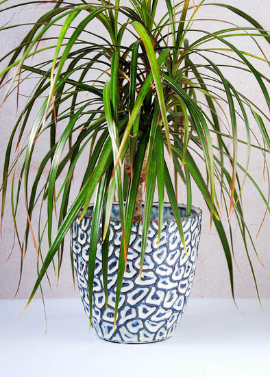 Ideal for small houseplants, this eye catching stoneware planter has a tactile design featuring a pattern glazed in blue, cream and brown. Height thirteen point five centimetres, Width fourteen centimetres.