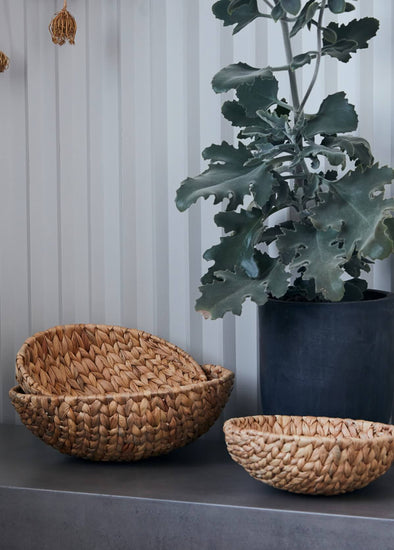 Three bowl shaped baskets made from water hyacinth resting on a grey shelf in front of a green plant in a black pot.