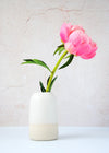 Freckled ceramic bottle vase containing a single coral peony. The top two thirds are covered in a white glaze while the bottom is left raw. The vase is 13cm high and 8cm wide (at base).