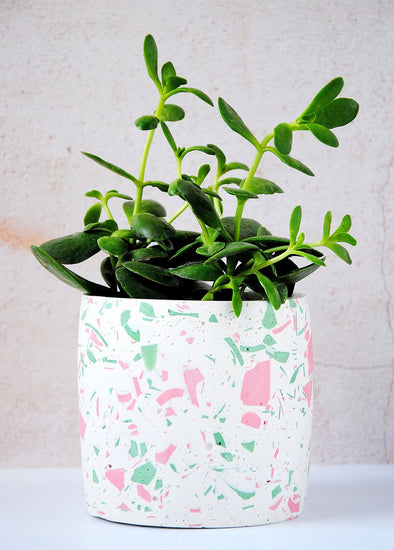 Terrazzo planter handmade by Salt Studios. Featuring a white base with pink and green terrazzo detail. Twelve centimetres tall and twelve centimetres wide.